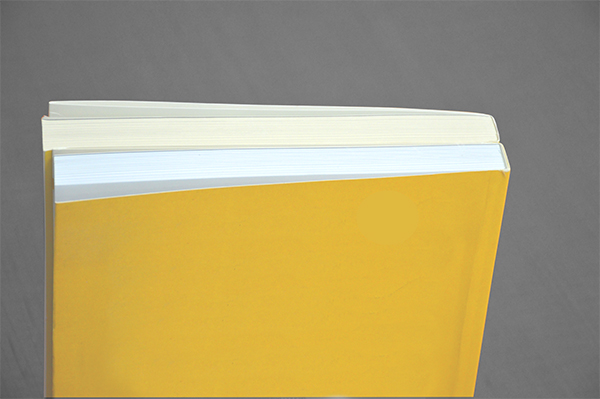 Differences in paper color, paper finish, and opacity may indicate that a book is a counterfeit.